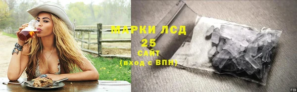 амф Гусиноозёрск