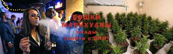 амф Гусиноозёрск