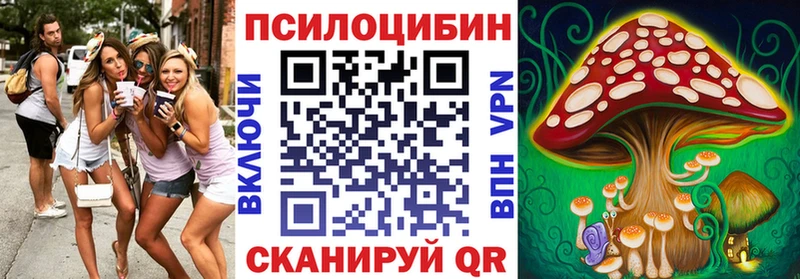 Галлюциногенные грибы MAGIC MUSHROOMS  Купить где  Колпашево 