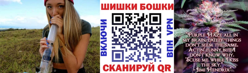 Купить где  Колпашево  Канабис индика 